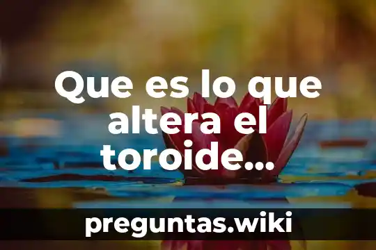 Que es lo que altera el toroide humano