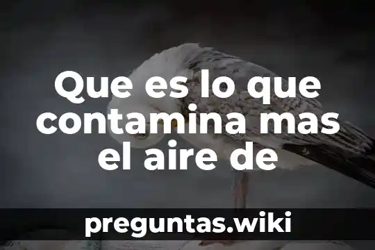 Que es lo que contamina mas el aire de