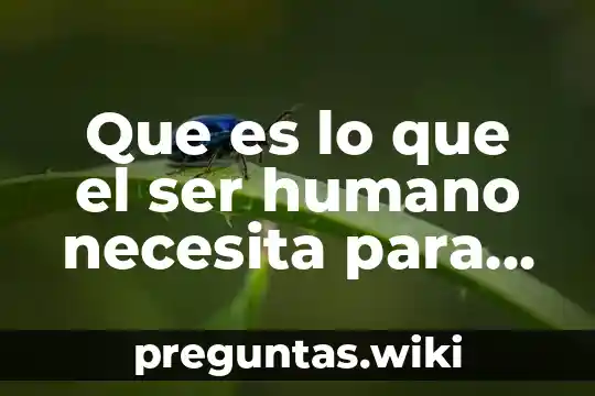 Que es lo que el ser humano necesita para vivir