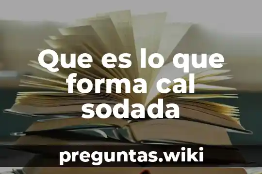 Que es lo que forma cal sodada