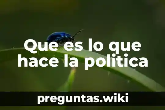 Que es lo que hace la politica