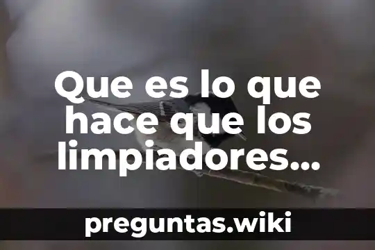 Que es lo que hace que los limpiadores limpian