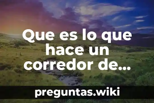 Que es lo que hace un corredor de bolsa