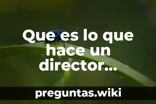 Que es lo que hace un director artistico de orquesta