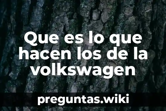 Que es lo que hacen los de la volkswagen