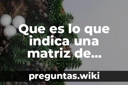 Que es lo que indica una matriz de productiva
