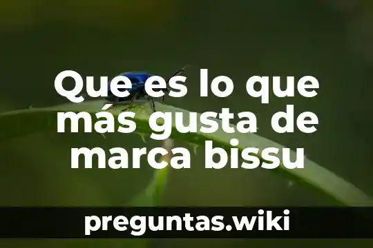 Que es lo que más gusta de marca bissu