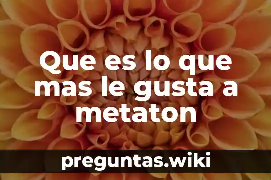Que es lo que mas le gusta a metaton