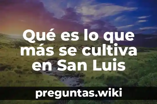 Qué es lo que más se cultiva en San Luis