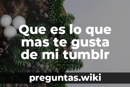 Que es lo que mas te gusta de mi tumblr