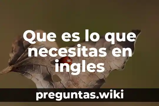 Que es lo que necesitas en ingles