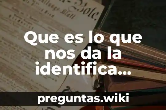 Que es lo que nos da la identifica como mexicanos