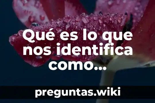 Qué es lo que nos identifica como comunidad