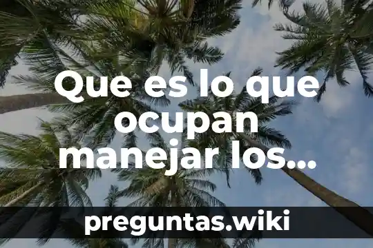 Que es lo que ocupan manejar los maestros en tecnologia