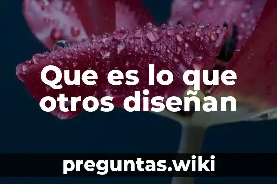 Que es lo que otros diseñan