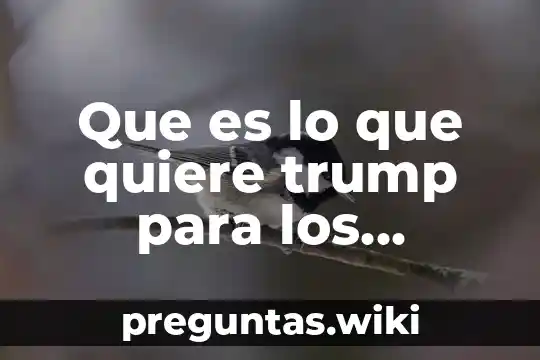 Que es lo que quiere trump para los mexicanos