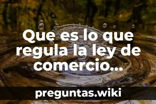 Que es lo que regula la ley de comercio exterior