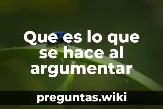 Que es lo que se hace al argumentar