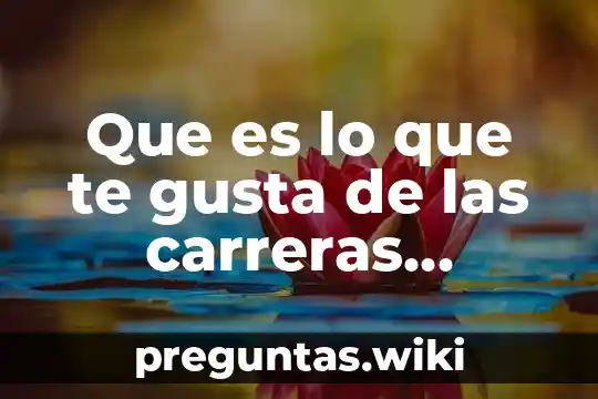 Que es lo que te gusta de las carreras tecnicas