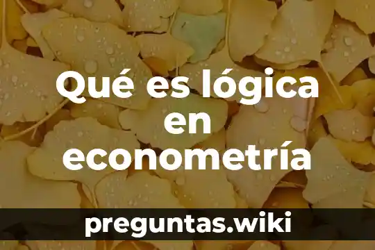 Qué es lógica en econometría