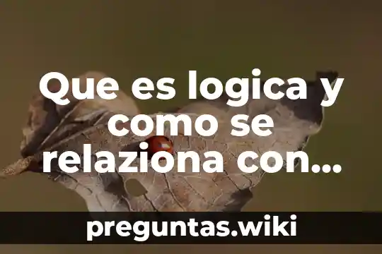 Que es logica y como se relaziona con el razonamiento