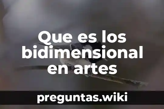 Que es los bidimensional en artes