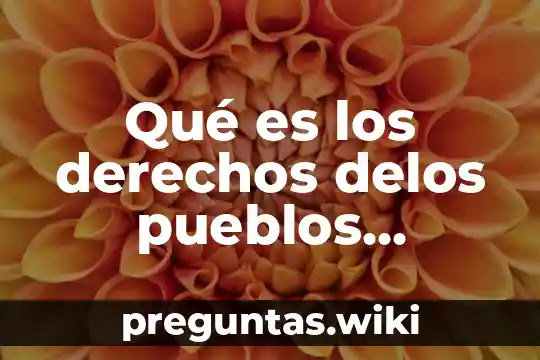 Qué es los derechos delos pueblos indígenas de oaxaca