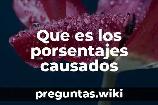 Que es los porsentajes causados