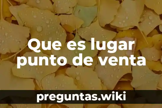 Que es lugar punto de venta