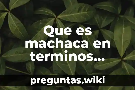 Que es machaca en terminos coloquiales