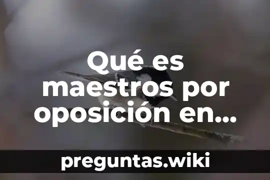 Qué es maestros por oposición en México