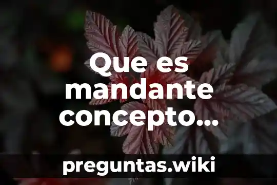 Que es mandante concepto juridico
