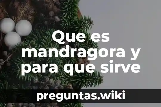 Que es mandragora y para que sirve