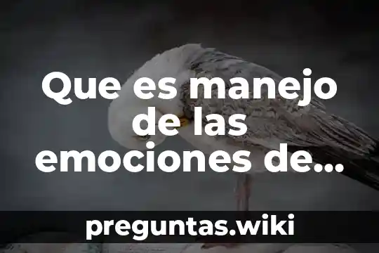 Que es manejo de las emociones de forma apropiada