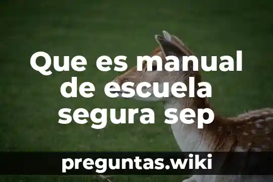 Que es manual de escuela segura sep