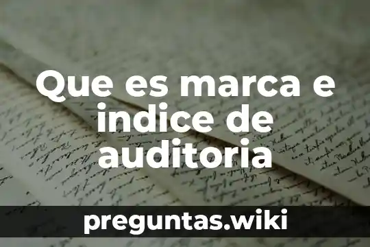 Que es marca e indice de auditoria