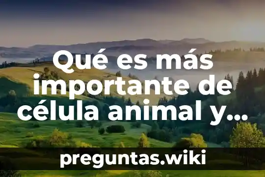 Qué es más importante de célula animal y vegetal