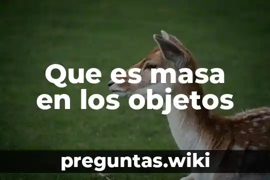 Que es masa en los objetos