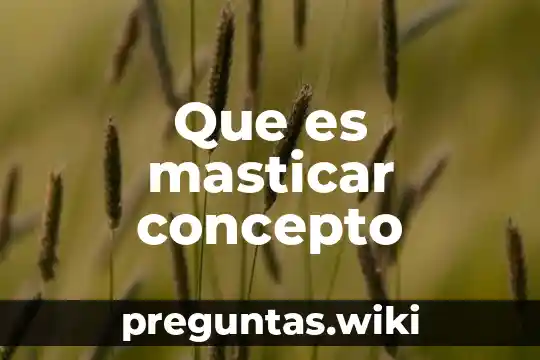 Que es masticar concepto