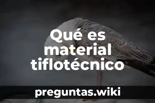 Qué es material tiflotécnico