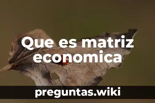 Que es matriz economica