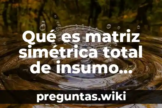 Qué es matriz simétrica total de insumo producto