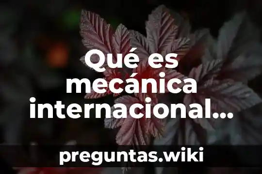 Qué es mecánica internacional aviones