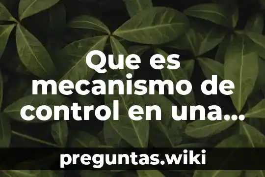 Que es mecanismo de control en una empresa