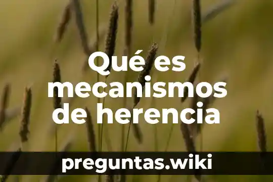 Qué es mecanismos de herencia