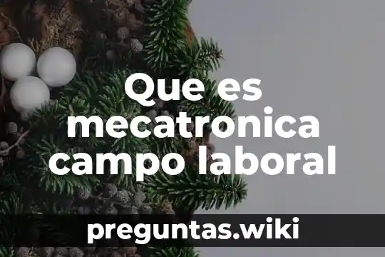 Que es mecatronica campo laboral