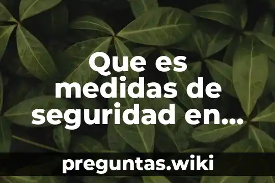 Que es medidas de seguridad en derecho penal