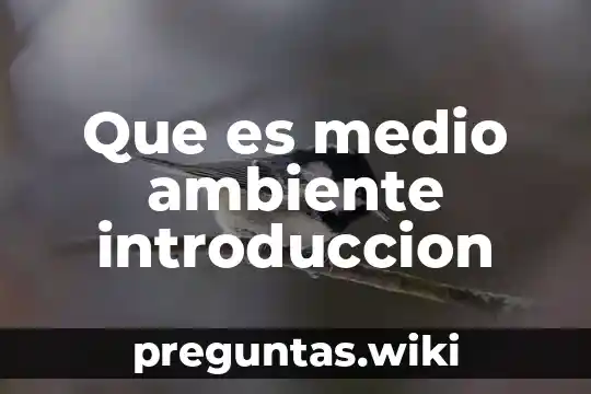 Que es medio ambiente introduccion