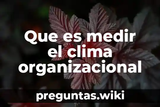 Que es medir el clima organizacional