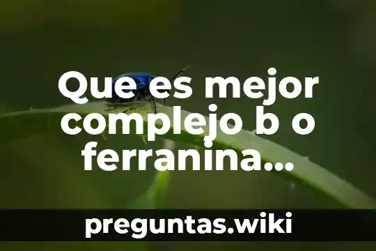 Que es mejor complejo b o ferranina complex